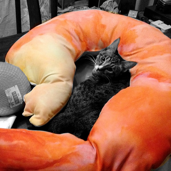 Домашним питомцам тоже полюбились такие подушки