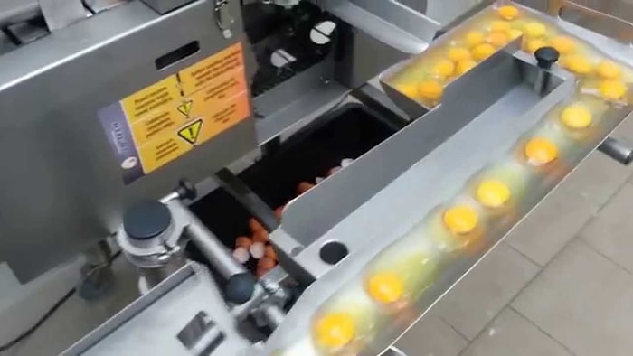 Yumurtanın Sarısı ile Beyazını Ayıran Mühendislik Harikası Endüstriyel Makineler