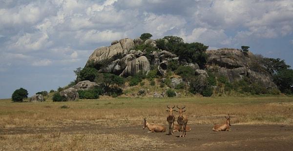 Serengeti, Tanzanya