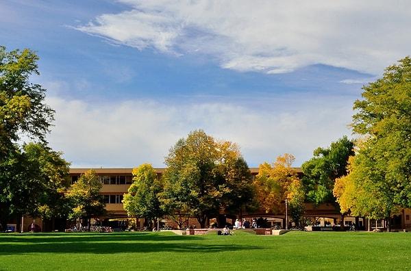 16. Colorado State Üniversitesi - A.B.D.