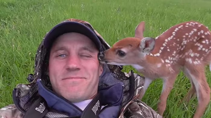 Kendisini Sağlığına Kavuşturan İnsan Arkadaşından Bir Türlü Ayrılamayan Sevimli Yavru Geyik