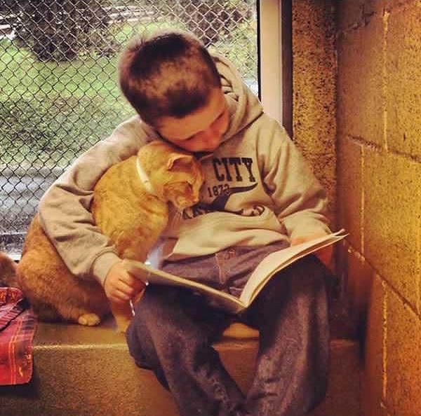 10. Barınaktaki kediye kitap okuyan bu çocuk.
