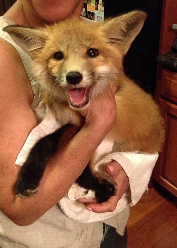 Если ты будешь чаще заходить на наш сайт, то на твой взор будут попадаться самые премилые милости три раза в неделю, как раз тогда, когда ты нуждаешься в этом больше всего.