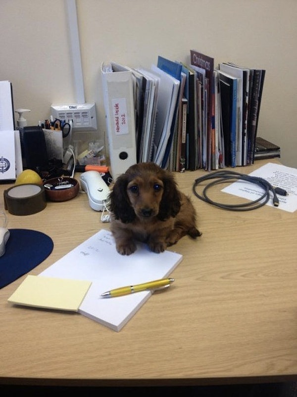 Твоя неделя может перестать быть такой уж невыносимой. Так чего же ты ждешь? Добавляй сайт в закладки