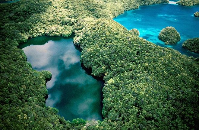 "El Değmemiş" Tabirini Sonuna Kadar Hak Eden Birbirinden Güzel 21 İnsansız Ada