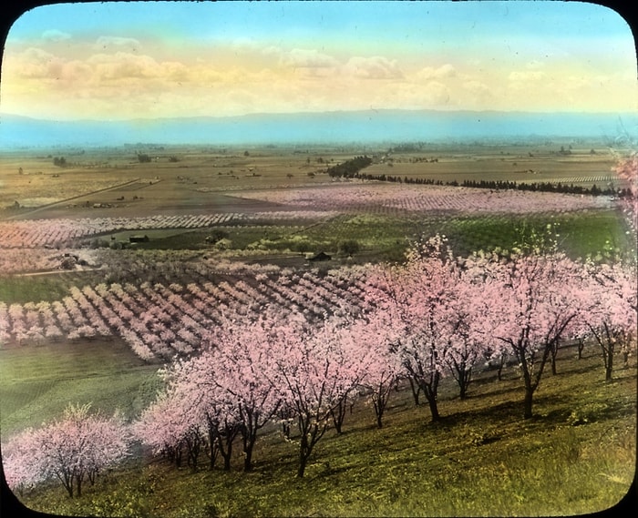 29 Fotoğraf İle Erik Bahçesinden Dünyanın En Önemli Teknoloji Merkezine Dönüşen "Silikon Vadisi"nin Hikayesi