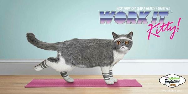 5. Pilates Eğitmeni Kedi