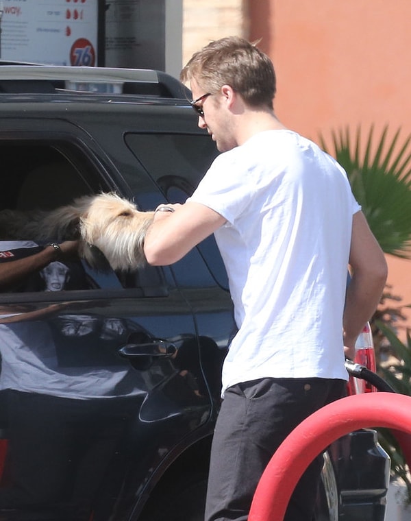 17. И когда он так умилительно разговаривает со своей собакой, одновременно заправляя машину и заставляя тебя истекать слюной.