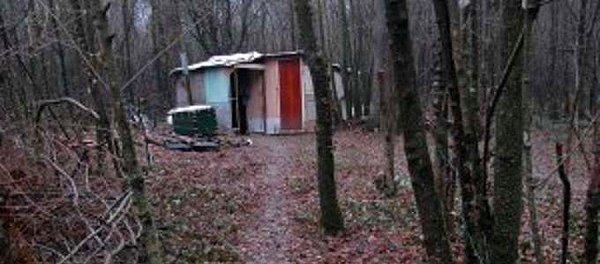 Mantar toplayıcıları, Scarlino kasabasında bir ormanın derinliklerinde 20 yıldır insanlardan uzak bir şekilde, ormanda barakada yaşadığını anlatan bir adamla karşılaştı.