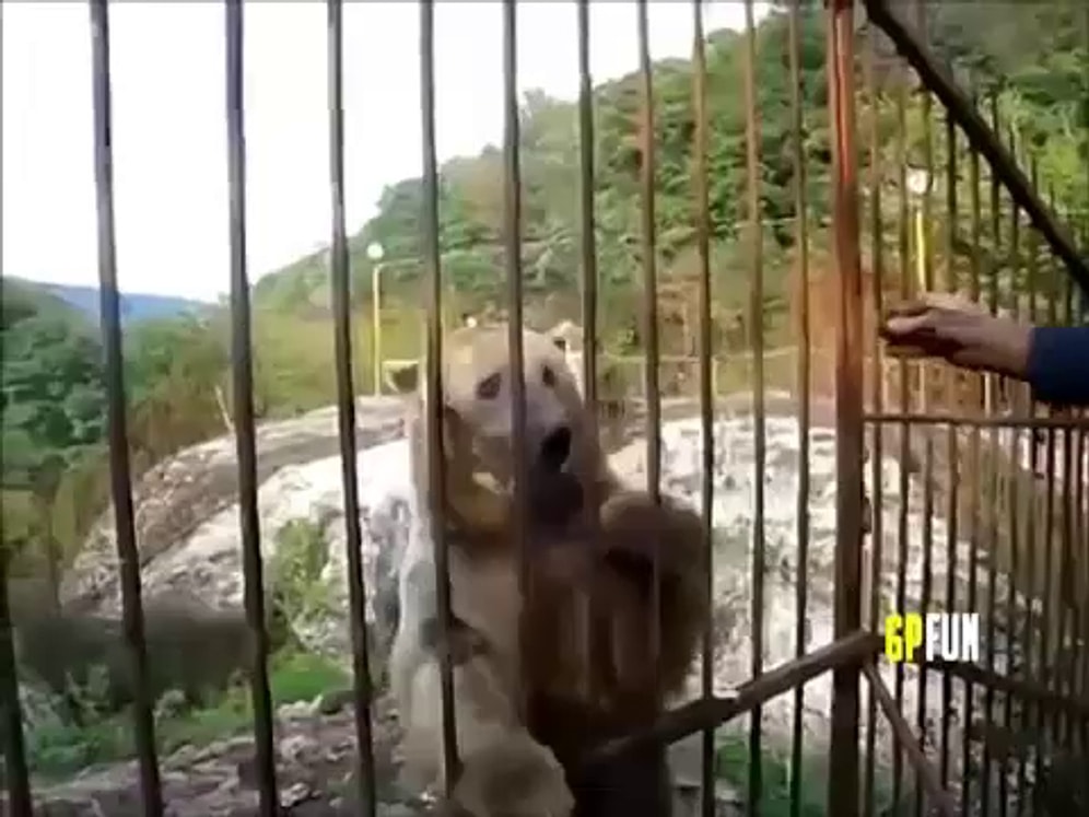 Водка, медведи, балалайка - стереотипы?