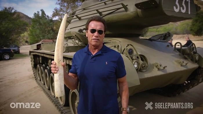 Schwarzenegger'den Fil Dişi Ticaretine Son Verin Mesajı