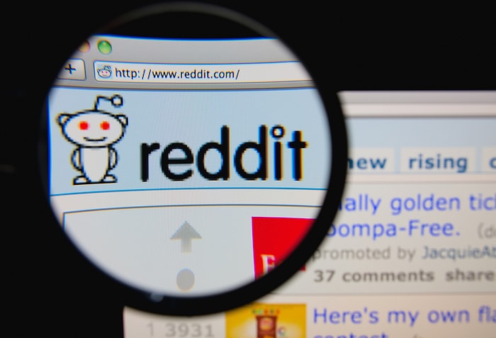 Reddit, Yeniden Erişime Açıldı