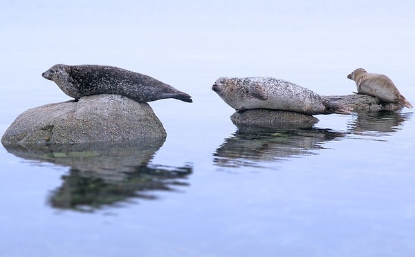 18. Остров Бьют, Аргайл и Бьют