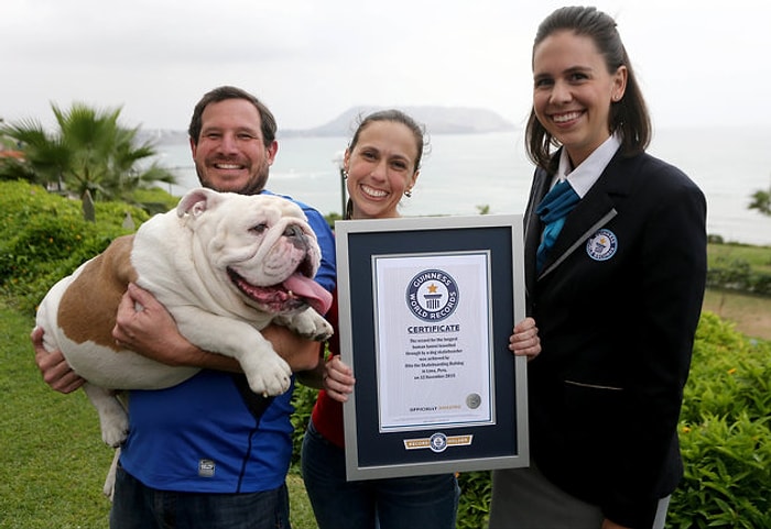 Kaykay Sürerken Sevimlilikten Herkesi Bitiren Bulldog, Guinness Rekoruna İmza Attı