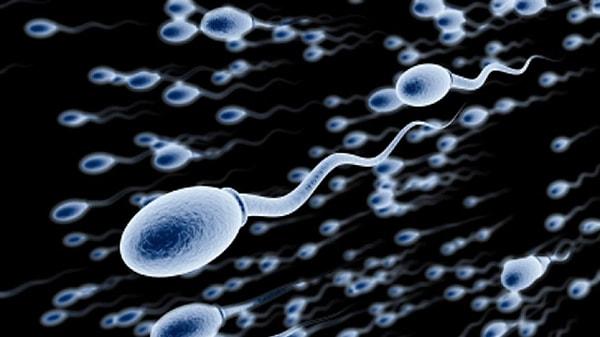 2. Bir erkek orgazma ulaştığında kaç adet sperm üretiyor olabilir?