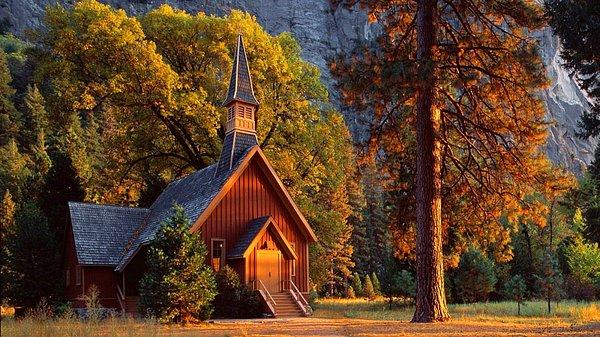 7. Yosemite Ulusal Parkı'nın en güzel sakinleri bu evde yaşıyor. Gamsızlar!