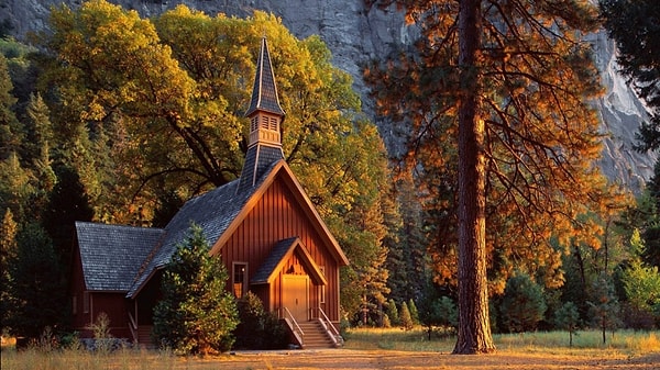 7. Yosemite Ulusal Parkı'nın en güzel sakinleri bu evde yaşıyor. Gamsızlar!