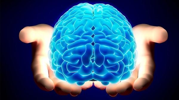 Bu sırada, beyinde anlamsal bellek, insan ve mekan çağrışımlarıyla ilgilenen ön temporal lobdaki hareketlilik gözlendi.