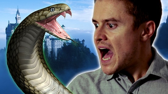 Çatalağızların Yaşadığı Problemler