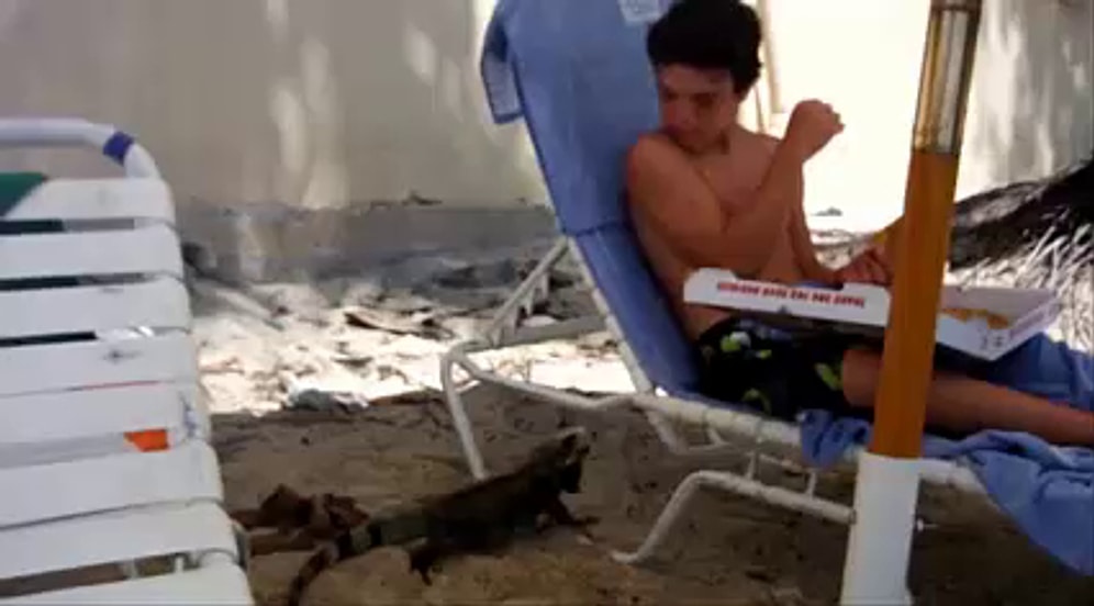 Beklenmedik Anda Yaptıkları Hareketlerle İnsanlara Korku Dolu Anlar Yaşatan Hayvanlar