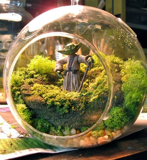 2014 E Bakis Adresine Ulasan Masa Bahceleri Terrarium Home Decor Decor