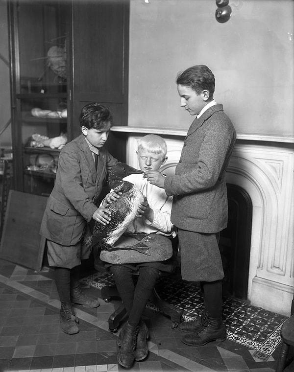 Çocuklar bir kuşu inceliyor - Mart 1917