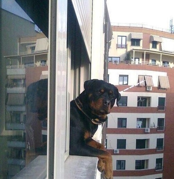 Вы делаете такое лицо, когда он или она выходят позвонить на балкон