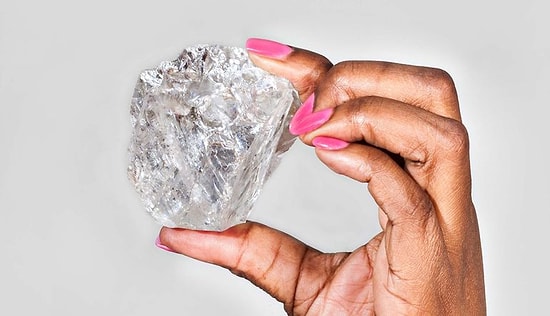 Yüzyılın En Büyük Elması Bulundu