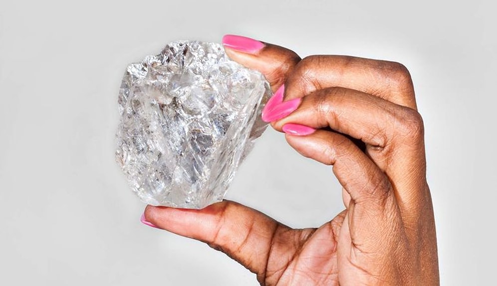 Yüzyılın En Büyük Elması Bulundu