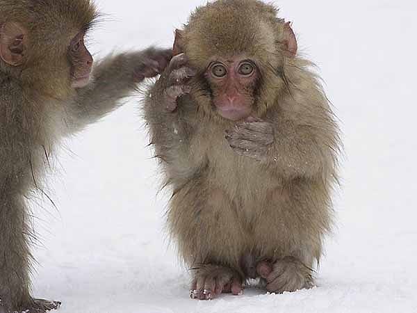 ... и мокрые ...