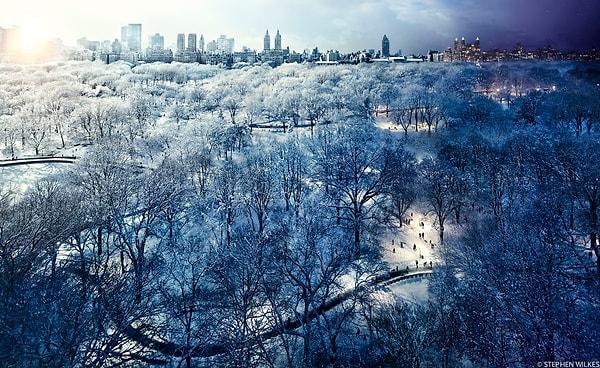 7. Central Park, New York