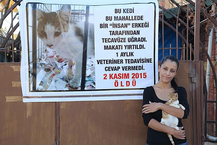 Afişli Protesto: Mersin'de Bir Kedi 'Tecavüz' Sonucu Hayatını Kaybetti...