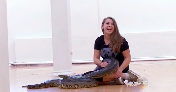 3. Бинди притащила на репетицию огромную змеюку, как ни в чем не бывало.