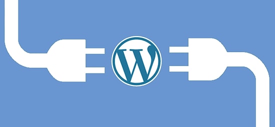 Wordpress Artık Açık Kaynak Kodlu!