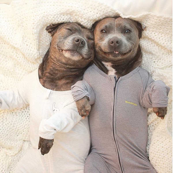 5. Лучшие друзья.