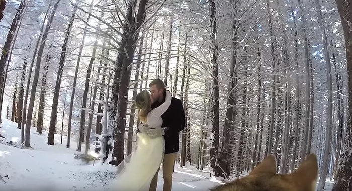 Sıradan Bir Düğünden Çok Daha Fazlası: Kameramanı Köpek Olan Karlı Düğün