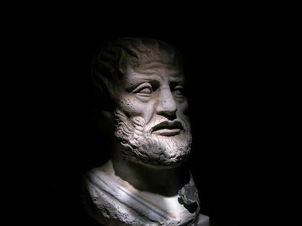 12. Aristoteles, metafizik adlı ünlü eserine şöyle başlar: "bütün insanlar doğal olarak bilmek ister".