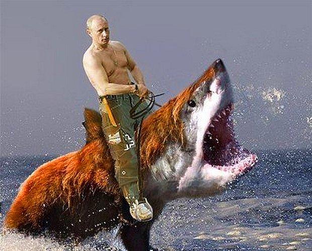 23 Things That Russian President Vladimir Putin Is Riding
