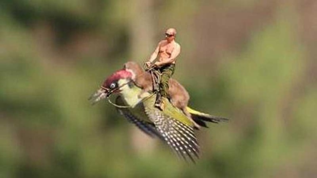 23 Things That Russian President Vladimir Putin Is Riding - Onedio
