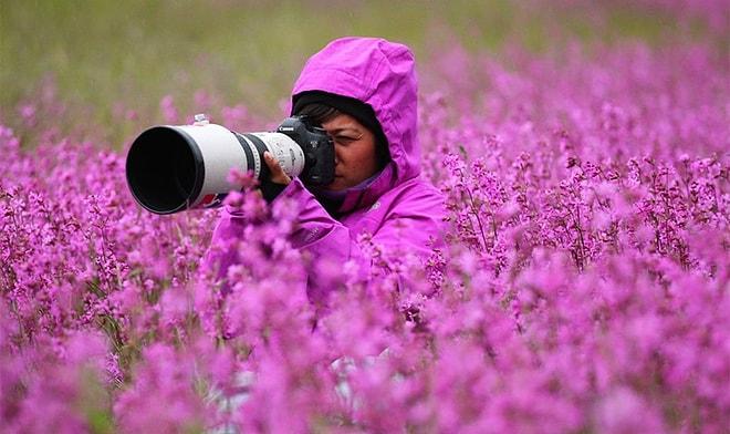 Vahşi Yaşam Fotoğrafçısı Olmanın Size Kazandıracağı 36 Benzersiz Tecrübe