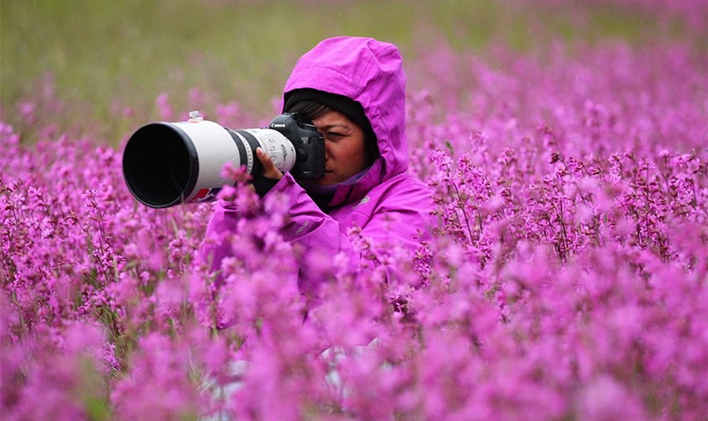 36 Awesome Things About Being a Wildlife Photographer!
