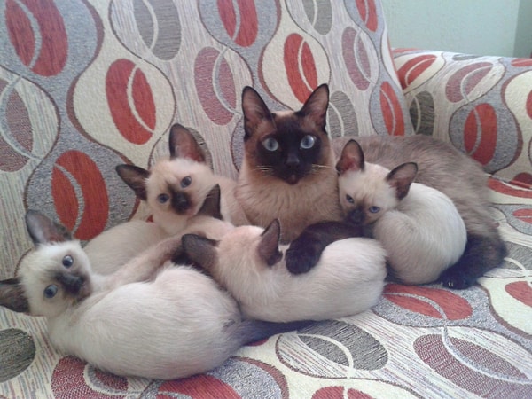 А эту фотографию прислал наш читатель.