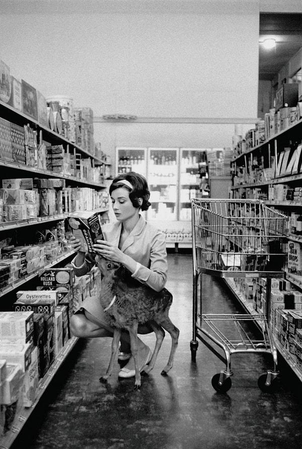 11. Audrey Hepburn evcil hayvanıyla, 1958
