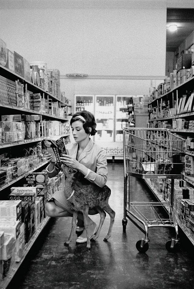 11. Audrey Hepburn with her pet deer, 1958