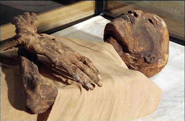 1. Eski Mısır Bilimciler, çürümeye başlayan II. Ramses’in mumyasını incelemek üzere Paris’e götürmek istemişler, bunun için Ramses’e Mısır pasaportu çıkarılmış ve meslek kısmına “Kral (ölü) yazılmıştır.