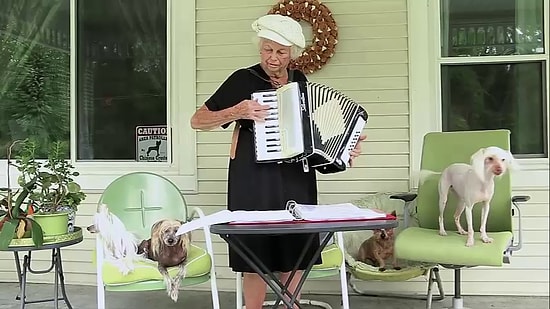 Akordion Çalan Yaşlı Kadına Dans Ederek Eşlik Eden Köpek