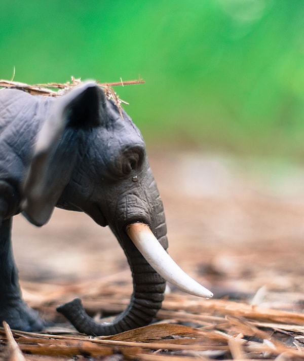 Никто не хочет остаться совсем одним на свете.