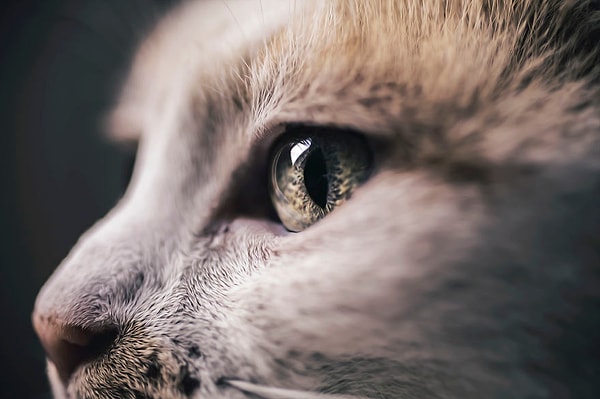 Но все стало еще хуже, когда ее мама серьезно заболела.