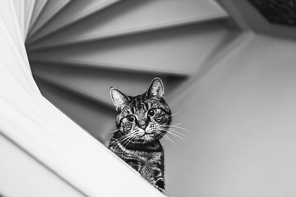 Все это сказалось на оценках девочки, и она не смогла окончить среднюю школу.