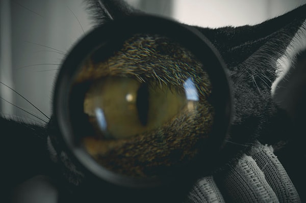 К счастью, с мамой Фелисити сейчас все хорошо, а сама она поступила в колледж и учится на графического дизайнера.